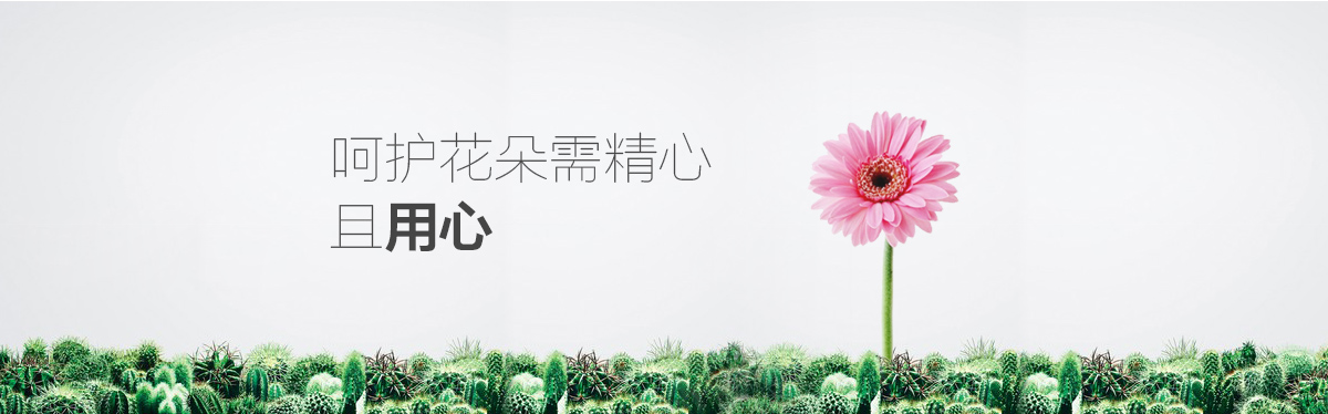 呵护花朵需精心、用心
